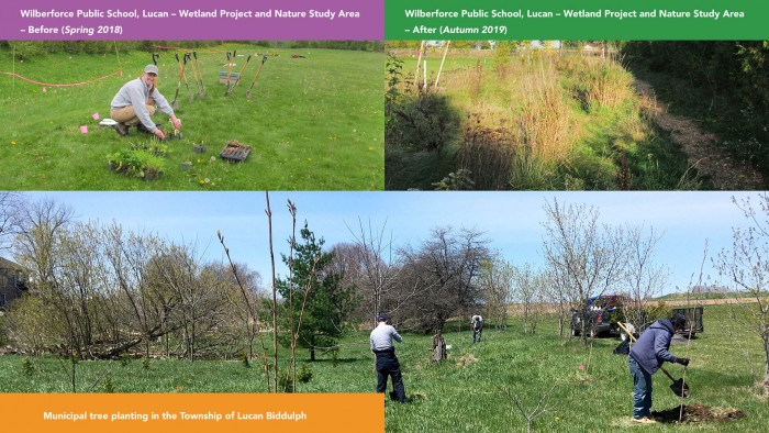 Years of stewardship in Lucan Biddulph include tree planting and wetland enhancement.