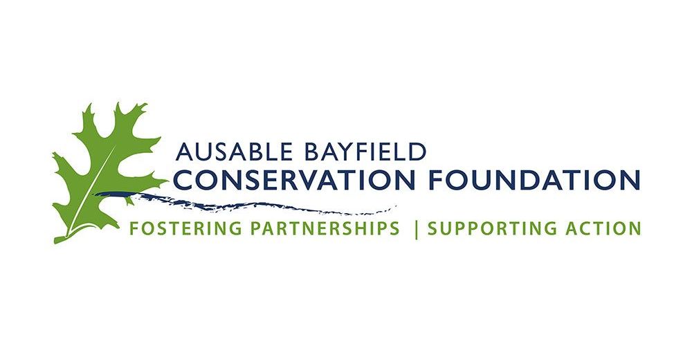 The logo wordmark for Ausable Bayfield Conservation Foundation with wave and Oak leaf and motto slogan tagline, 'Fostering Partnerships, Supporting Action.'