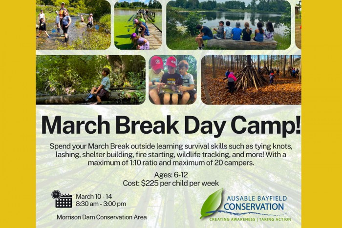 A collage of photos showing young people at nature day camps.