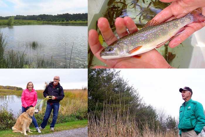 A collage of photos from Middlesex Centre.