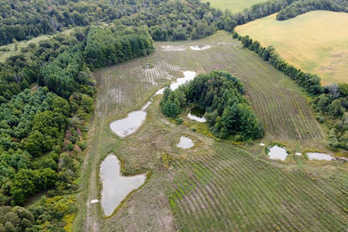 An aerial photo of Oakes family wetland and wildlife area.