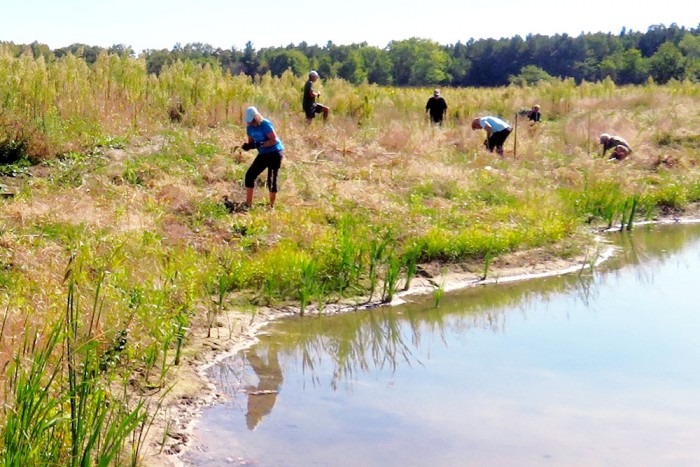Volunteers at wetland.