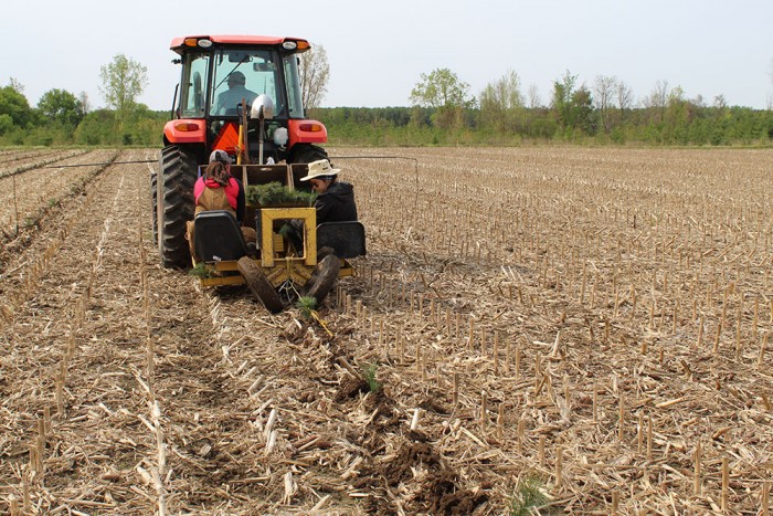 A photo of mechanical tree planting.