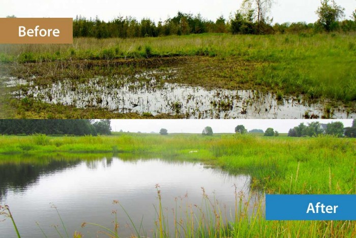 Haak Wetland Project