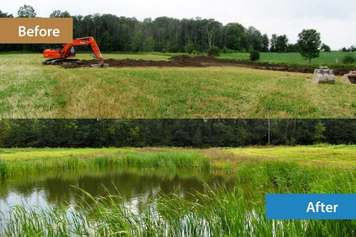 Hindmarsh Wetland Project