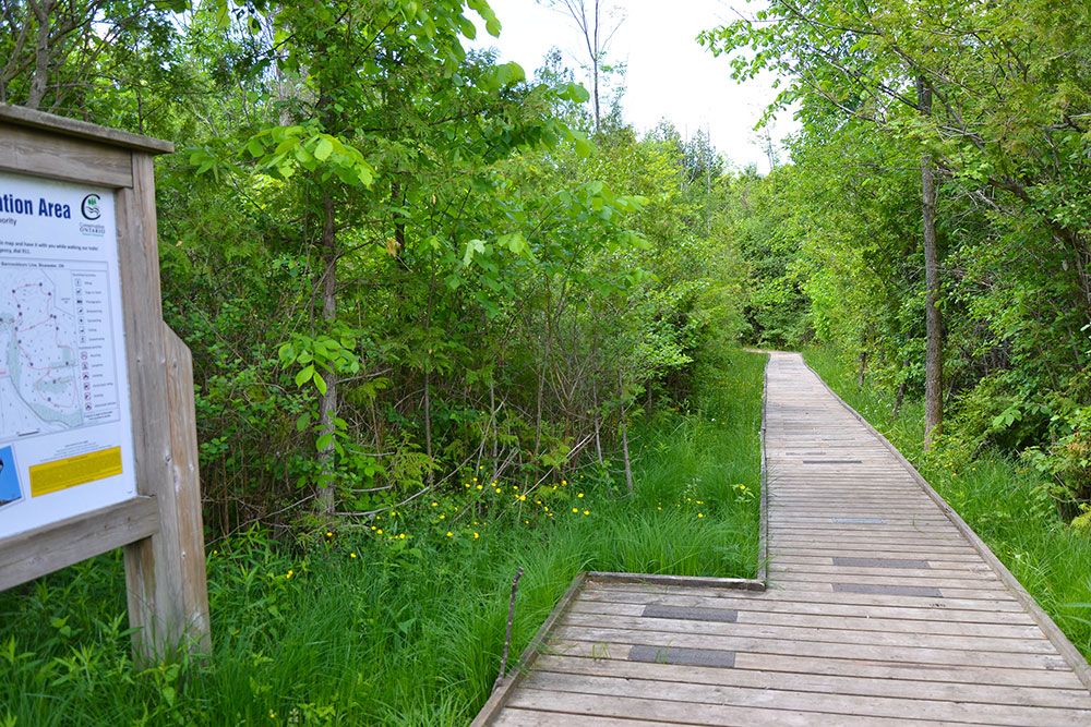 Bannockburn_CA_1000_px.jpg