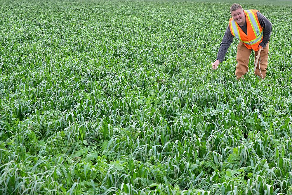 Cover_Crops_1000_px_1.jpg