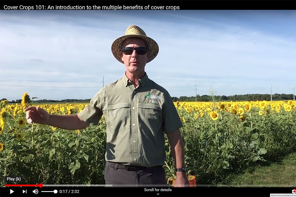 Cover_Crops_Ross_Wilson_Web_1.jpg