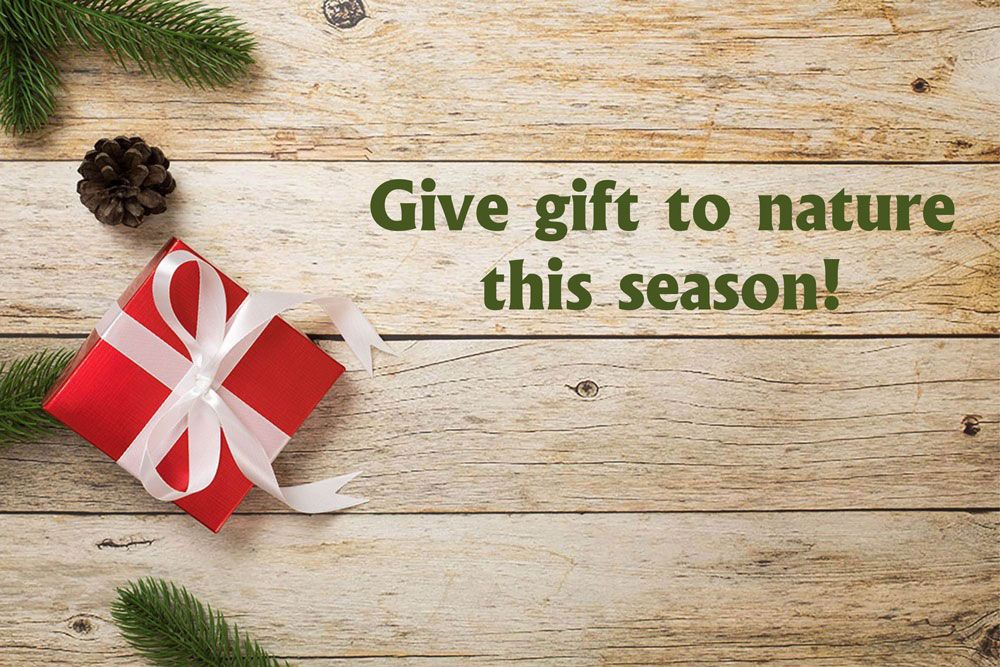 Green_Gifts_for_Web_1000_px_1.jpg