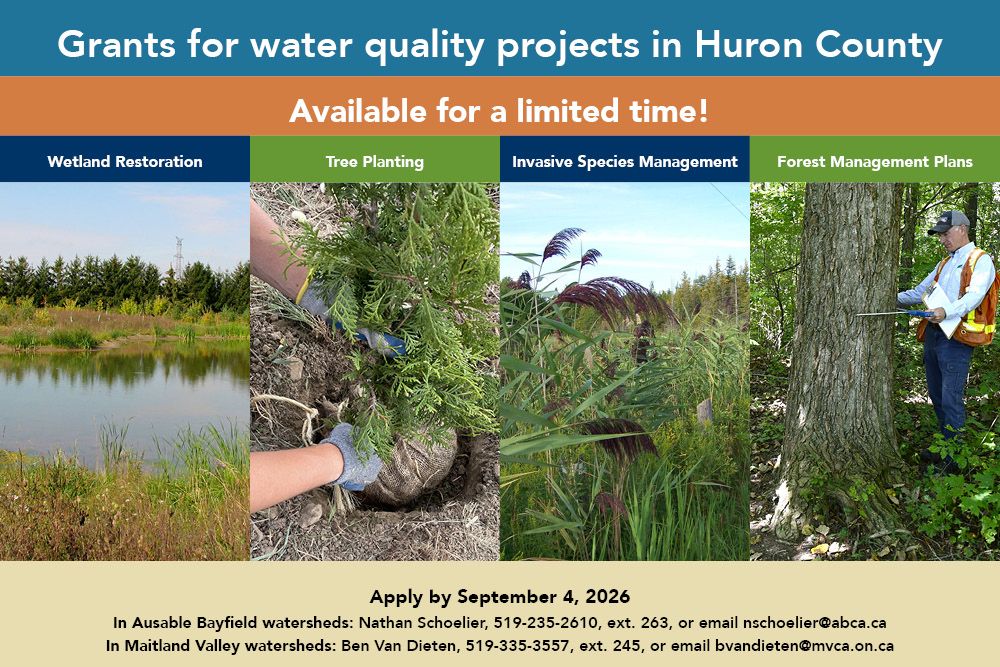 HCWP_Grants_Limited_Time_2026_Website.jpg