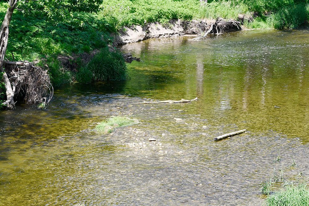 Low_Water_2026_1000_px.jpg