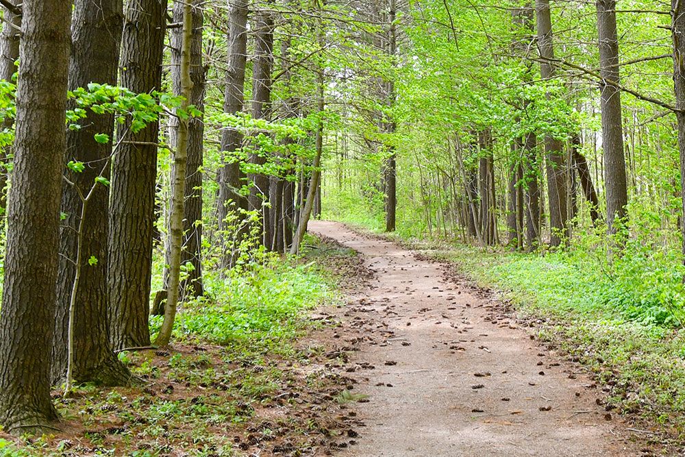 A file photo of trail through Morrison Dam Conservation Area.