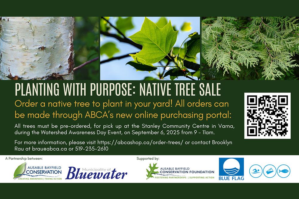 Native_Tree_Sale_1000_px_2025.jpg