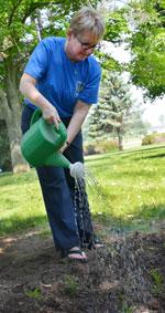Newsletter-RBC-supports-wetlands.jpg