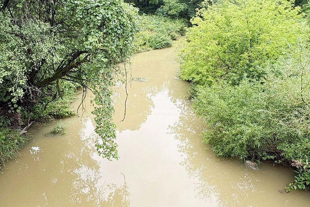 Parkhill_Creek_1000_px.jpg