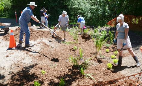 Rain-Garden-Planting-6-web.jpg