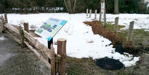 Rain_Garden_Photo_Bayfield_1_Web.jpg