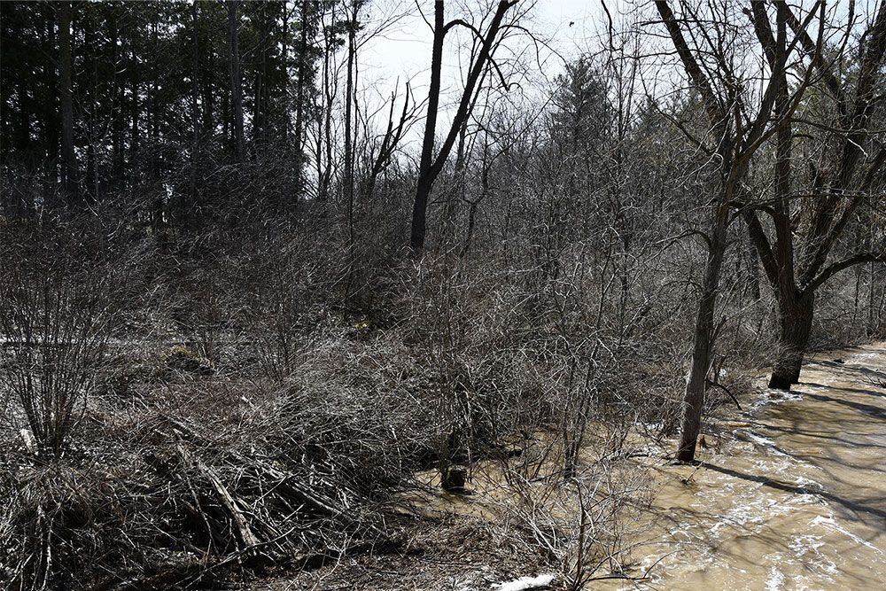 A photo of high water beside South Huron Trail.