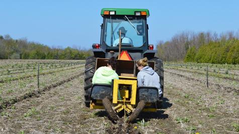 Tree_Planting_Web_2018.jpg