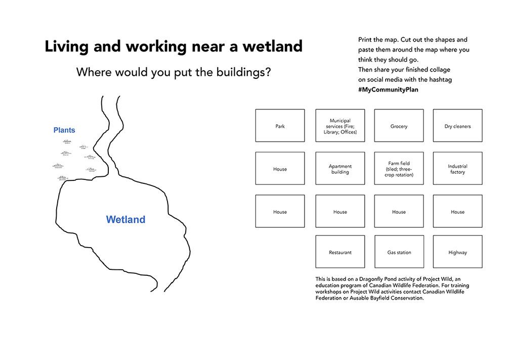 Wetland_Activity_1000_px.jpg