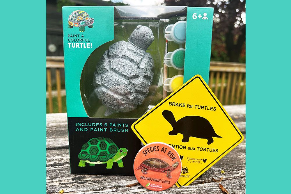 World_Turtle_Day_Prize_Pack_1000_px.jpg