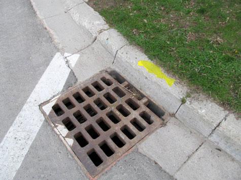 Yellow_Fish_Road_Lucan_2017_Web.jpg