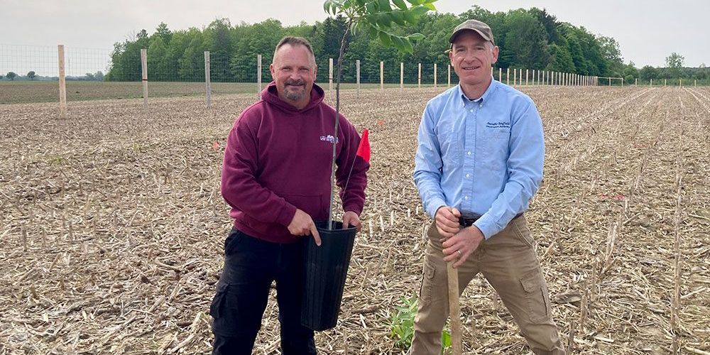 Corey Gent, of Forest Gene Conservation Association, and Ian Jean, of Ausable Bayfield Conservation Authority at Butternut Archive Orchard site.