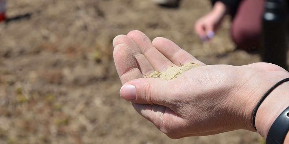A photo of the hand of a conservation educator teaching about soil.