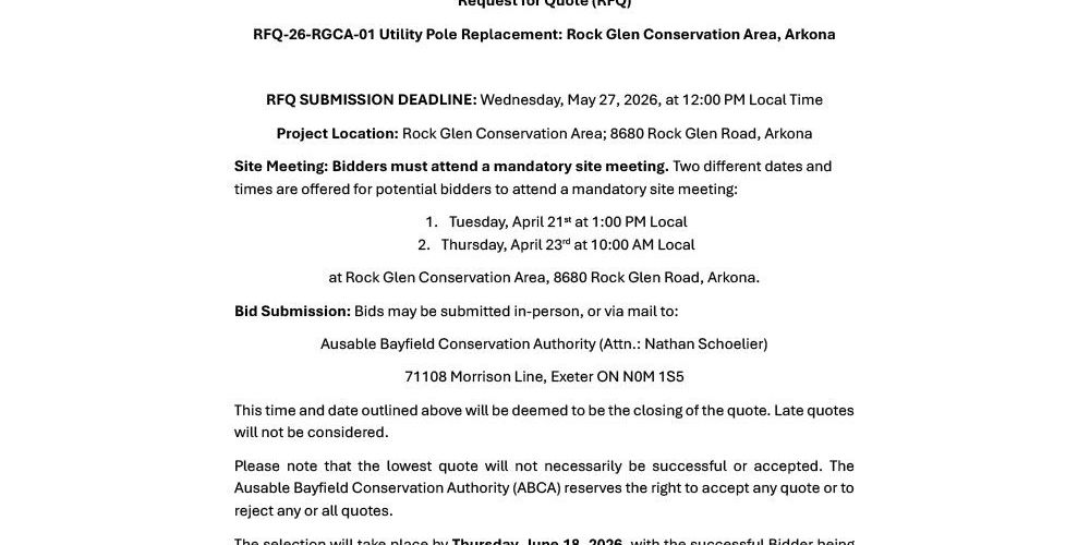 An image of the first page of the RFQ document.