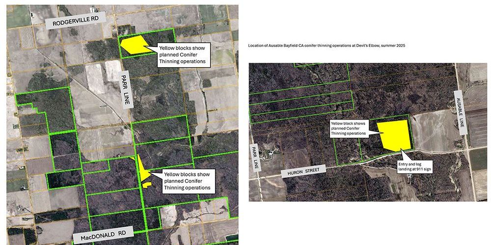 Images of maps of properties temporarily closed in Hay Swamp.