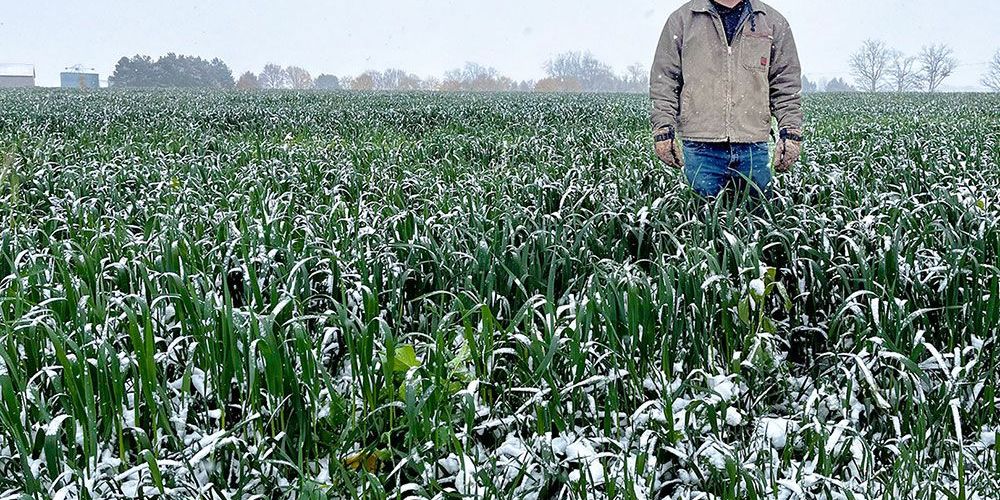 Huron County farmer Nathan Cann who has planted cover crops on all his acres.
