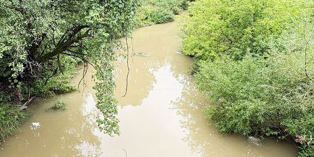 A photo of Parkhill Creek showing higher streamflow.
