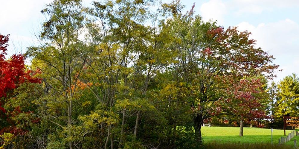 South Huron Trail, west of Morrison Line, will be in use October 13..