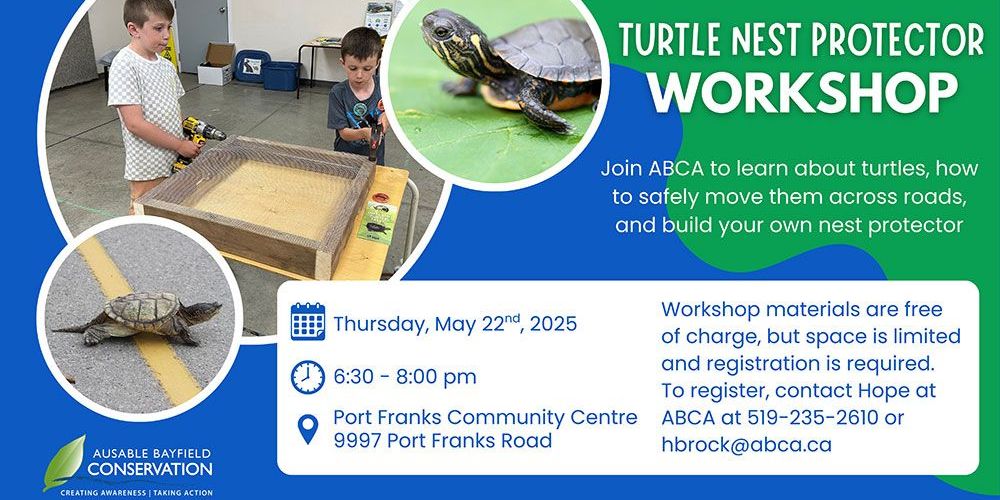 A poster for May 22, 2025 Turtle Nest Protector Workshop in Port Franks.