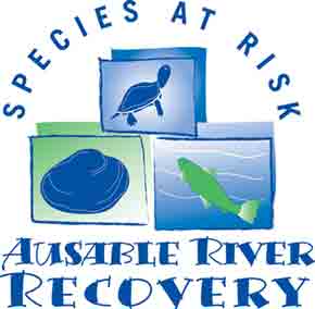 species at risk logo