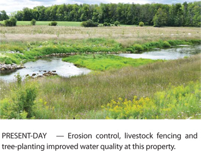 erosion control, creek